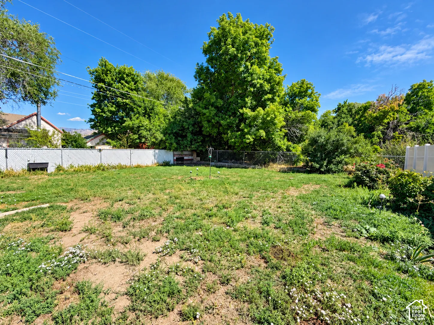 Expansive yard space with chain link and privacy fencing, mature trees, and landscaping opportunities