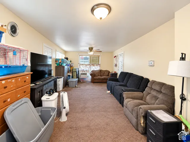 Carpeted living area featuring a ceiling-mounted light fixture, additional ceiling fan, and painted walls