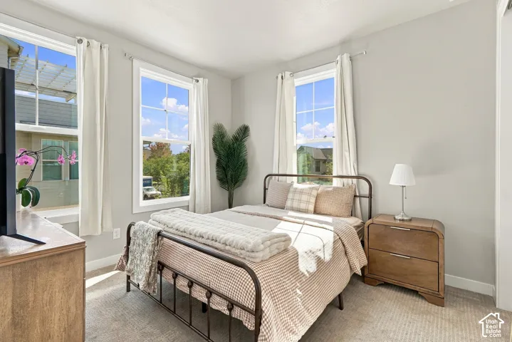 Plush carpet flooring, light neutral wall tones, and two large windows with white trim