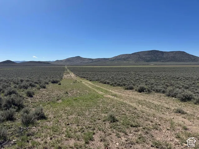 Expansive desert landscape with a clear blue sky, distant mountains, and natural vegetation