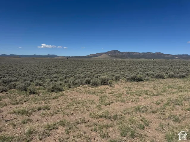 Expansive lot with natural ground cover and distant mountain range