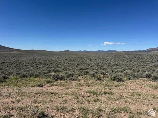 Expansive open land with natural shrubbery and distant mountains