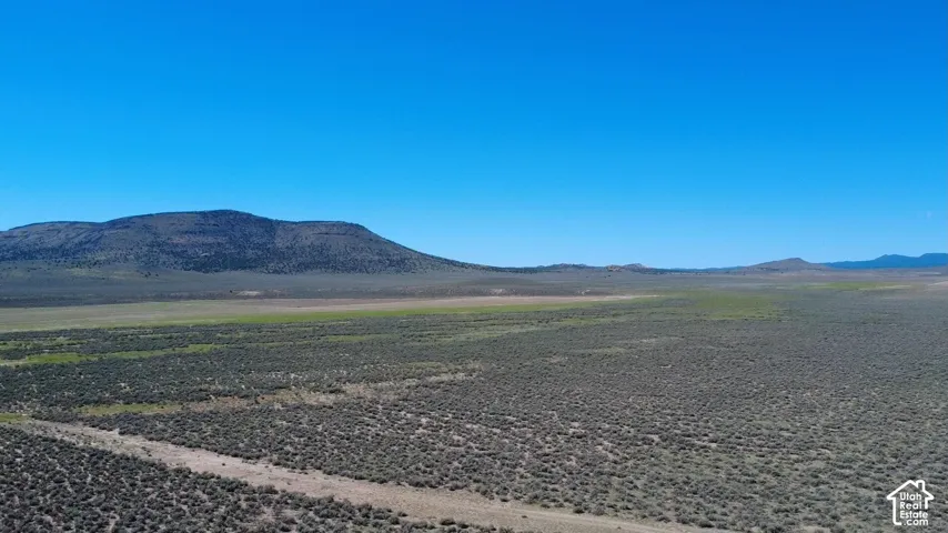 Expansive undeveloped land featuring varied low-lying vegetation