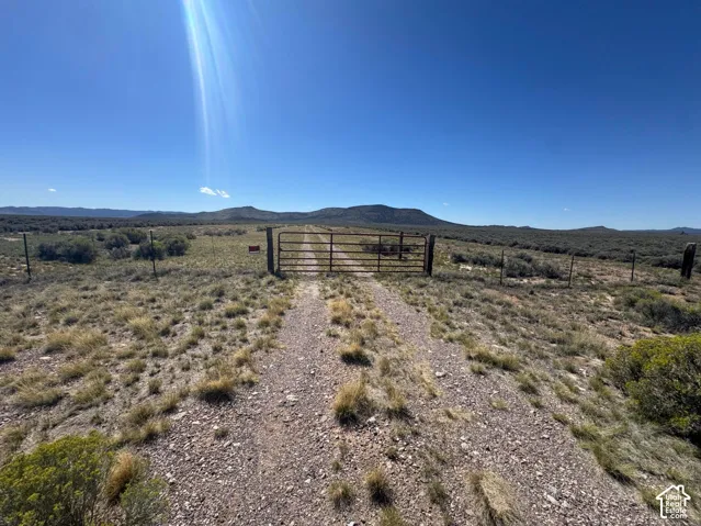 Gravel drive leading to a metal gate