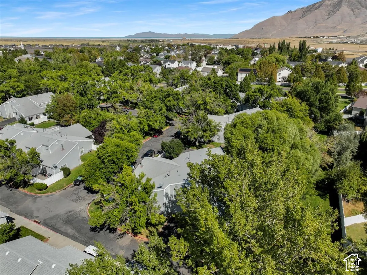 Residential community with mature tree canopy, grey-roofed structures, and paved roadways, set against a distant mountain range and expansive terrain