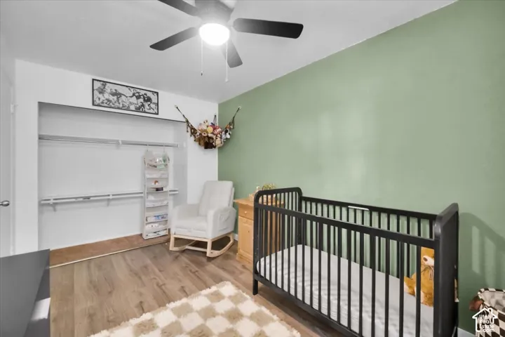 Ceiling fan, wood-finish flooring, recessed closet, light green accent wall