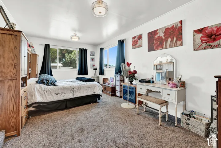 Multiple windows providing natural light, recessed lighting fixtures, and textured carpeting