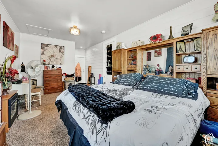 Carpeted room with a ceiling-mounted light fixture, white walls, and built-in shelving