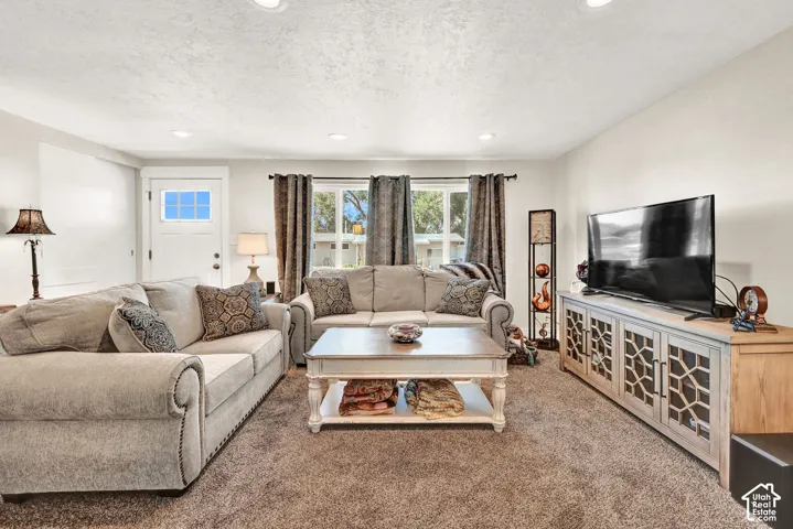 Recessed ceiling lighting illuminates the textured carpet flooring