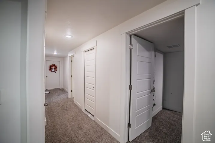 Carpeted hallway with flush-mount lighting, white trim, and various paneled doors