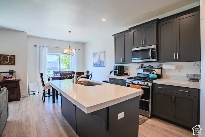 Modern kitchen featuring dark cabinetry, stainless steel appliances, light countertops, and wood-finish flooring