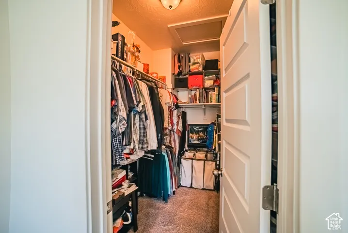 Walk-in closet with carpet flooring, mounted shelving, and an overhead light fixture