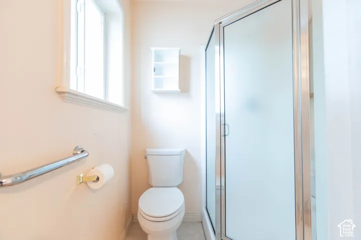 Frosted glass shower enclosure, a white toilet, wall-mounted shelving, and a chrome grab bar