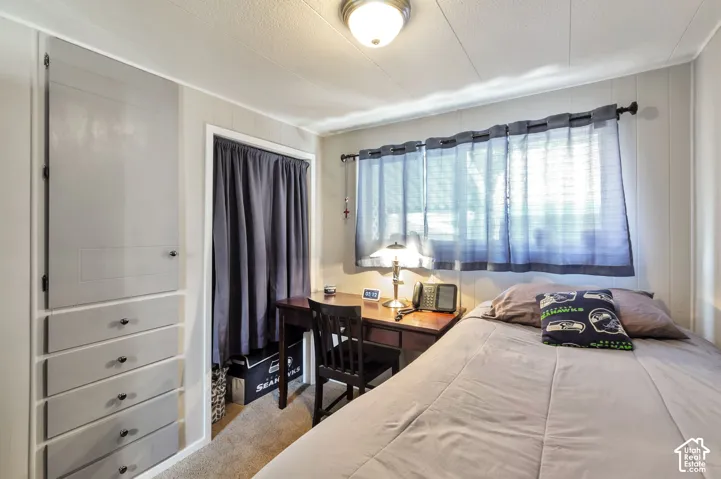 Integrated built-in cabinetry with drawers, wall-mounted light fixture, and carpet flooring
