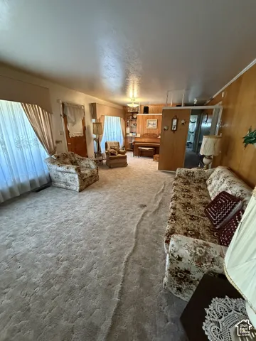 Wall-to-wall carpeting and wood-paneled walls create a warm atmosphere