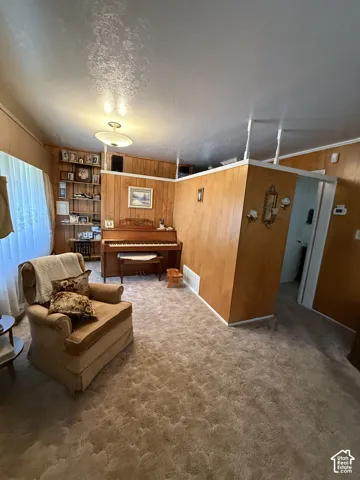 Carpeted living area with wood-paneled walls and a built-in shelving unit