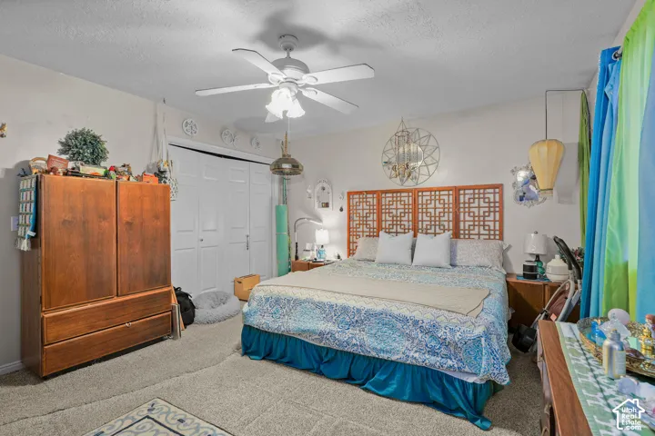 Carpeted flooring, a ceiling fan with integrated lighting, and a bi-fold closet