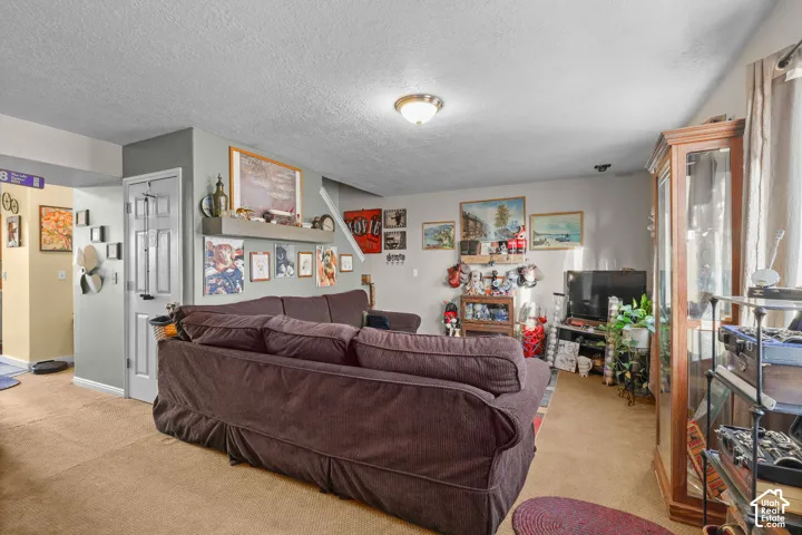 Unit B, Carpeted flooring throughout, neutral paint colors, and a ceiling-mounted light fixture