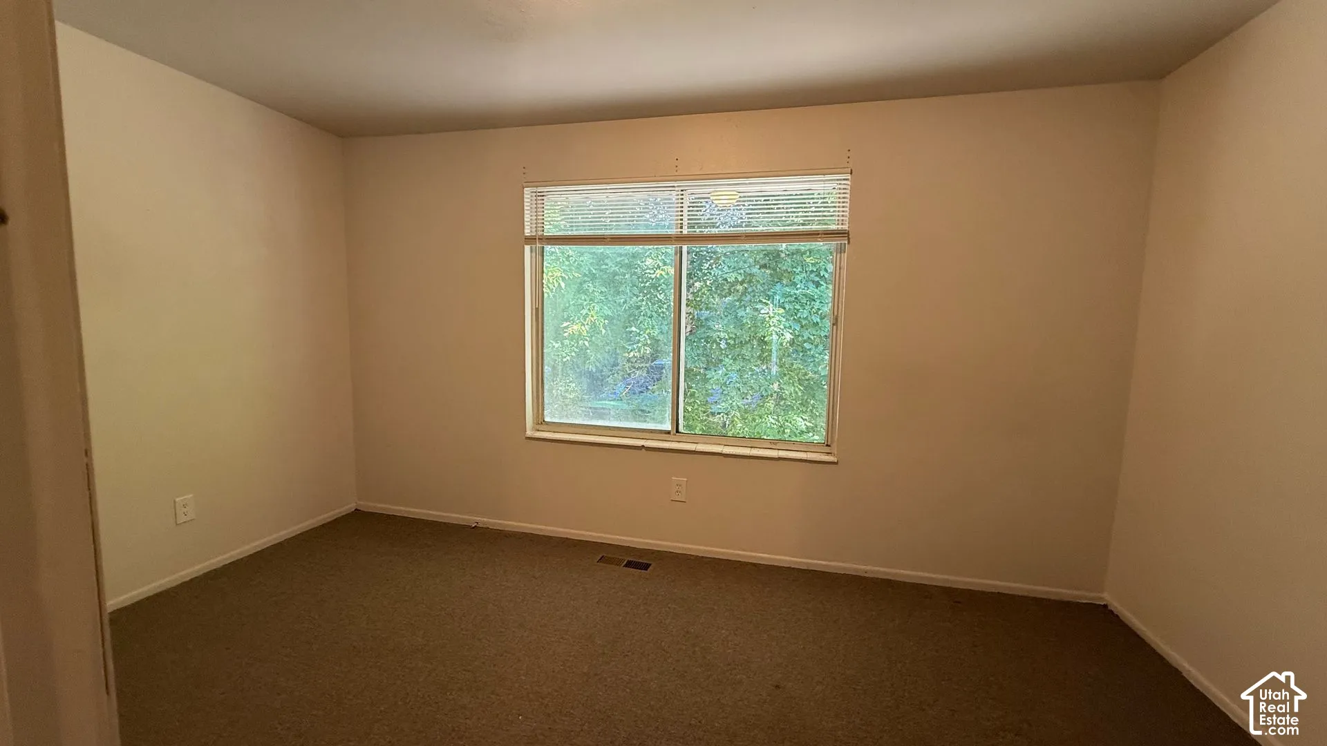 Carpeted flooring, neutral wall tones, and a window with blinds