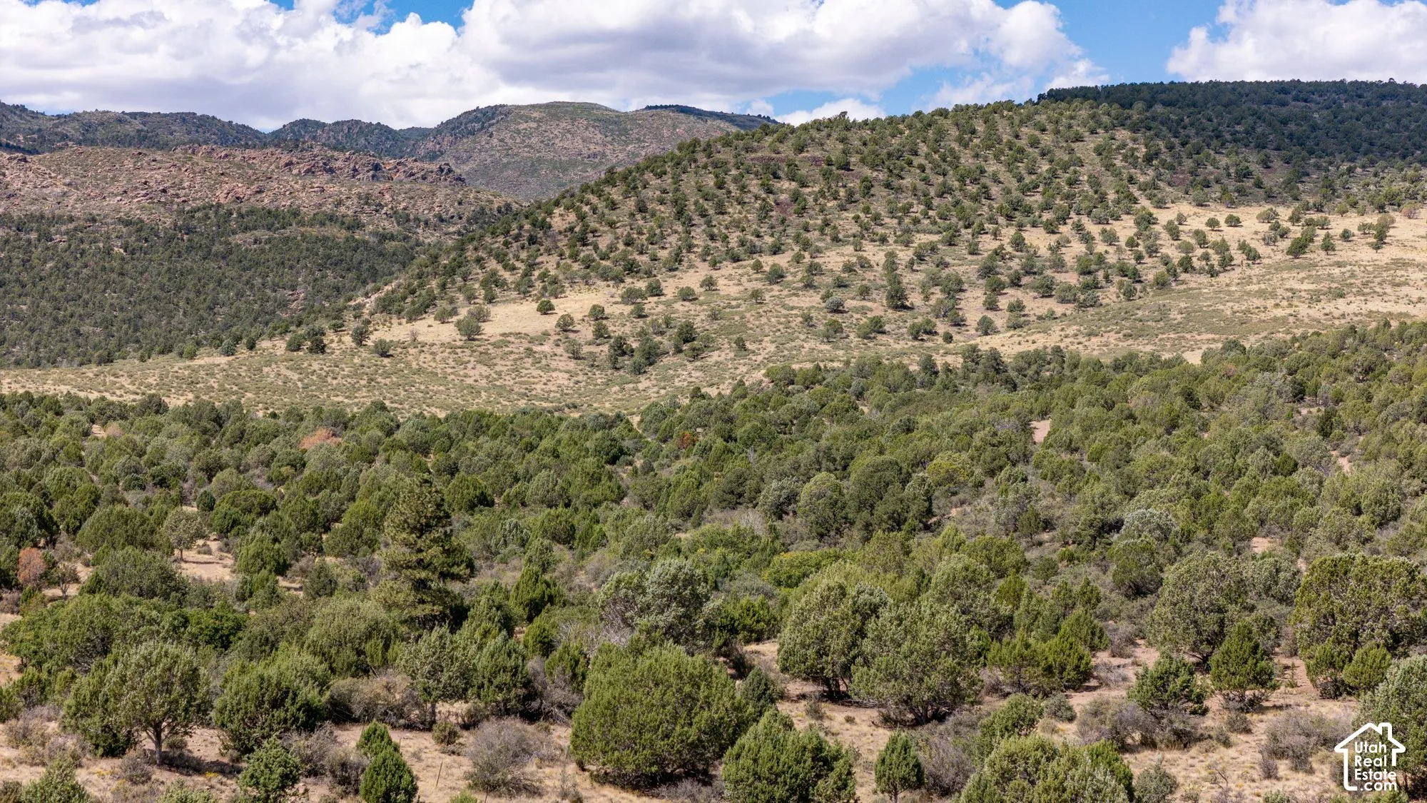 Expansive land featuring diverse tree coverage across varied terrains, including a distant mountainous backdrop