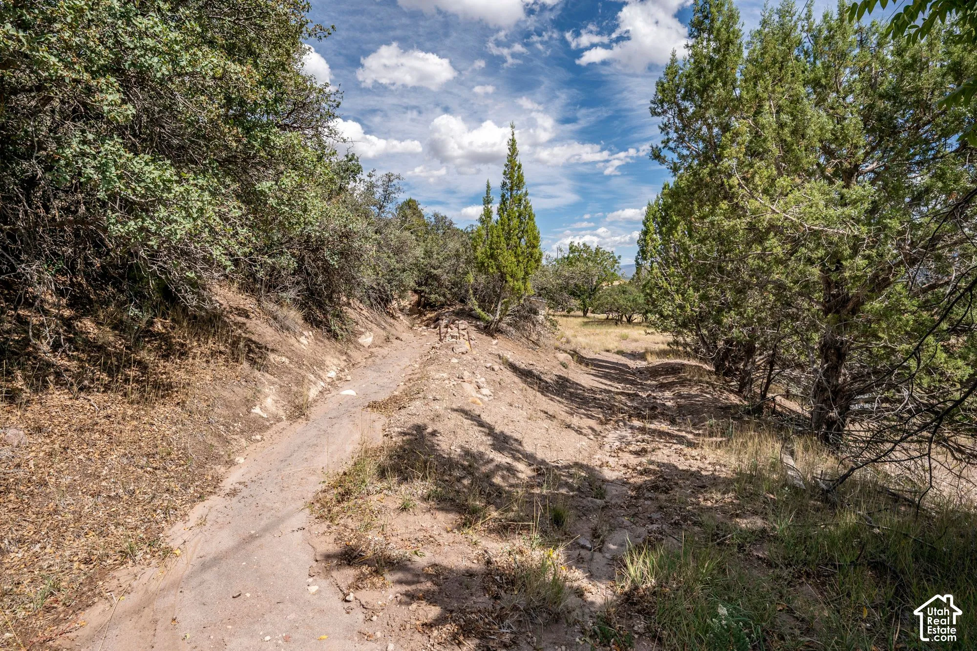 Expansive undeveloped land featuring mature trees and natural terrain