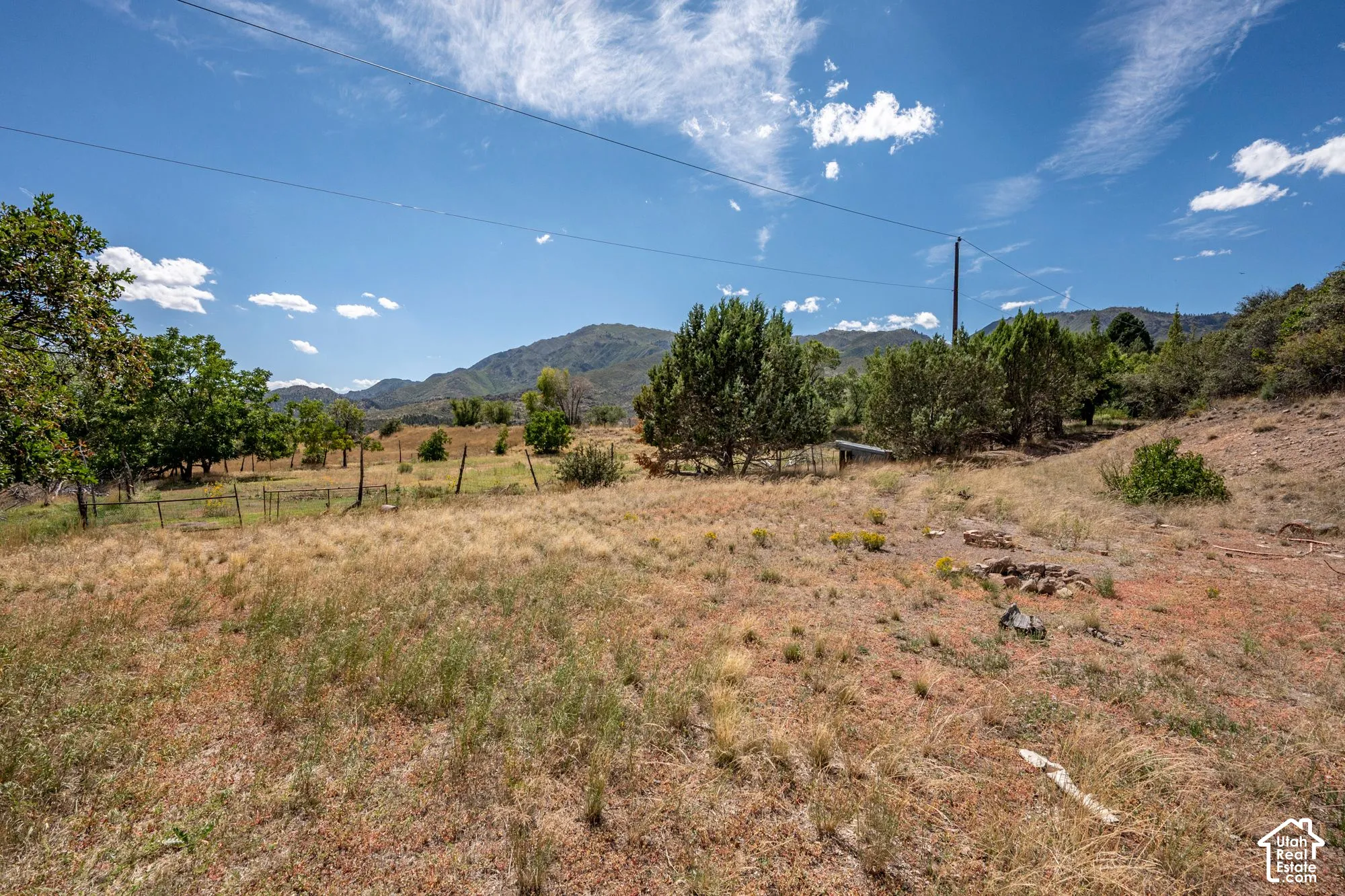 Expansive open terrain with natural ground cover, mature trees, and mountainous scenery
