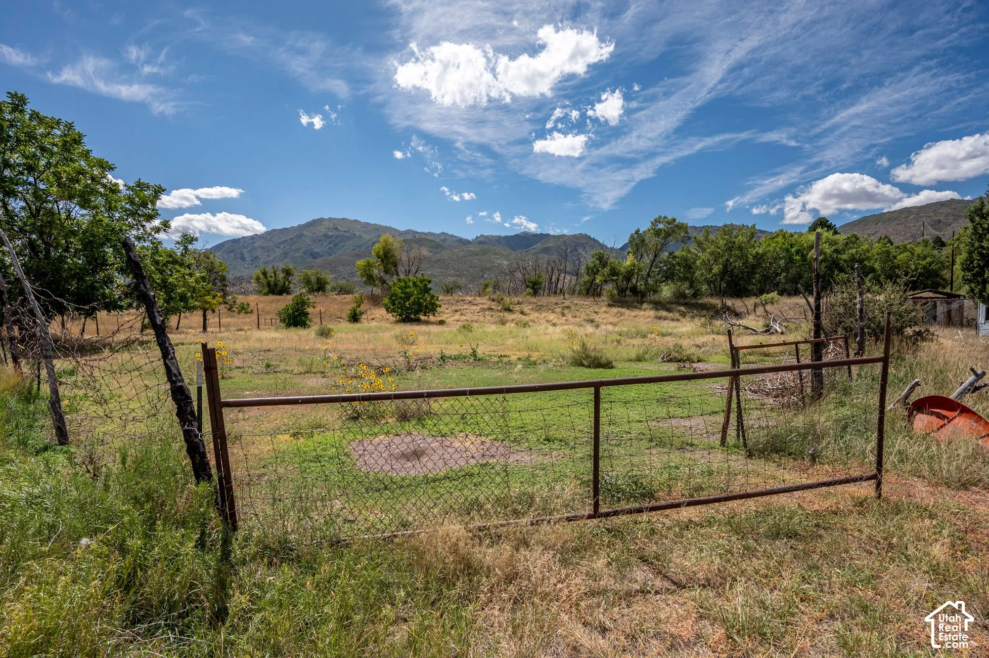 Fenced property with expansive terrain and mature trees, set against a backdrop of distant mountains