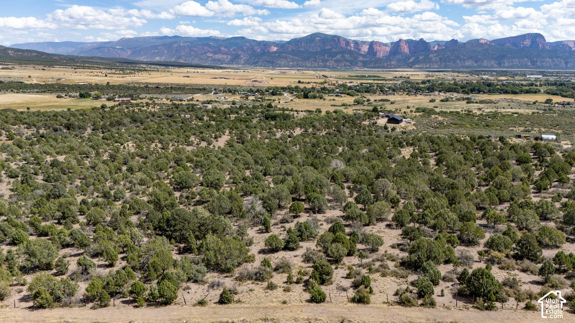 Expansive property featuring abundant trees and natural vegetation