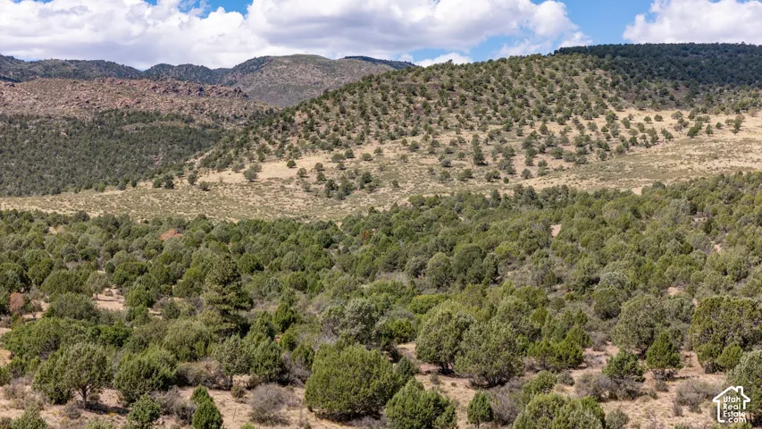 Expansive land featuring diverse tree coverage across varied terrains, including a distant mountainous backdrop