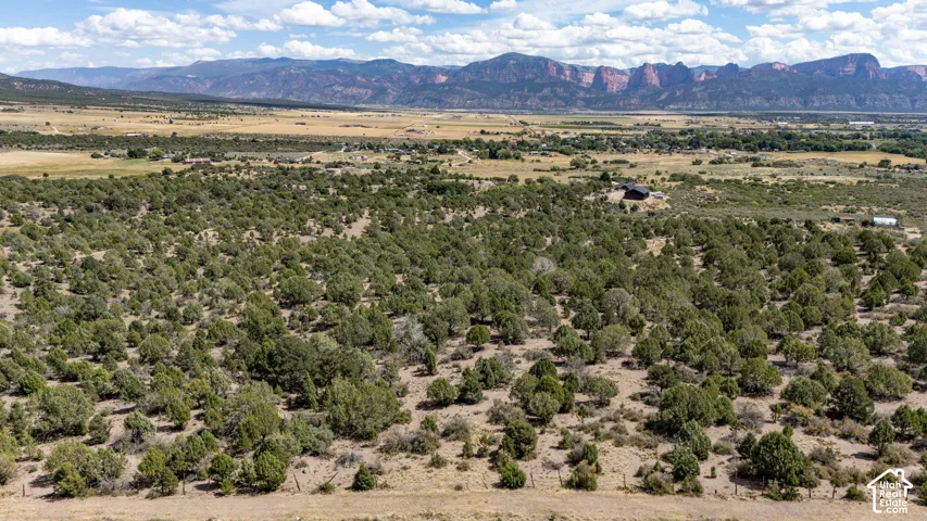 Expansive property featuring abundant trees and natural vegetation