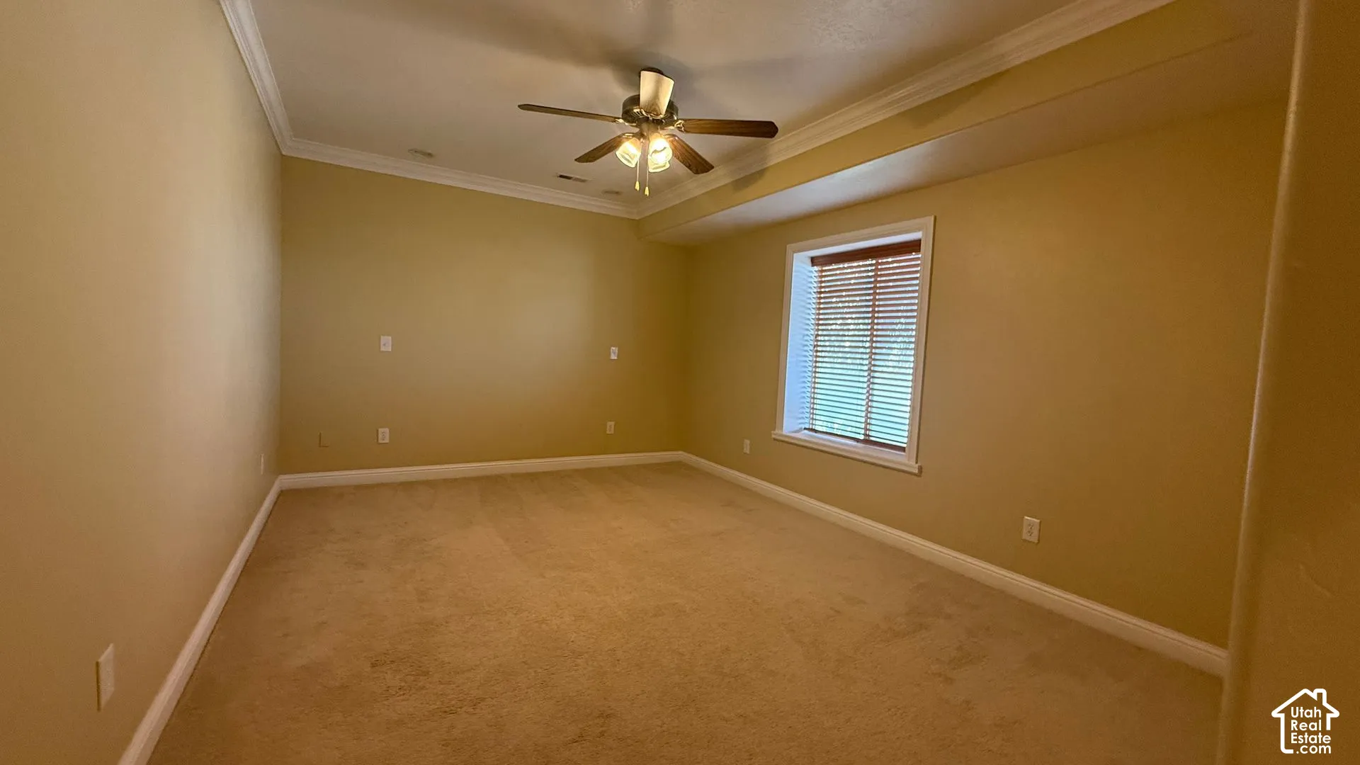 Carpeted flooring, window with blinds, ceiling fan with integrated lighting, and crown molding