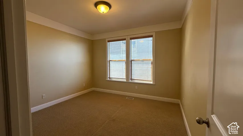 Crown molding, neutral wall color, carpet flooring, dual windows, and ceiling-mounted light fixture