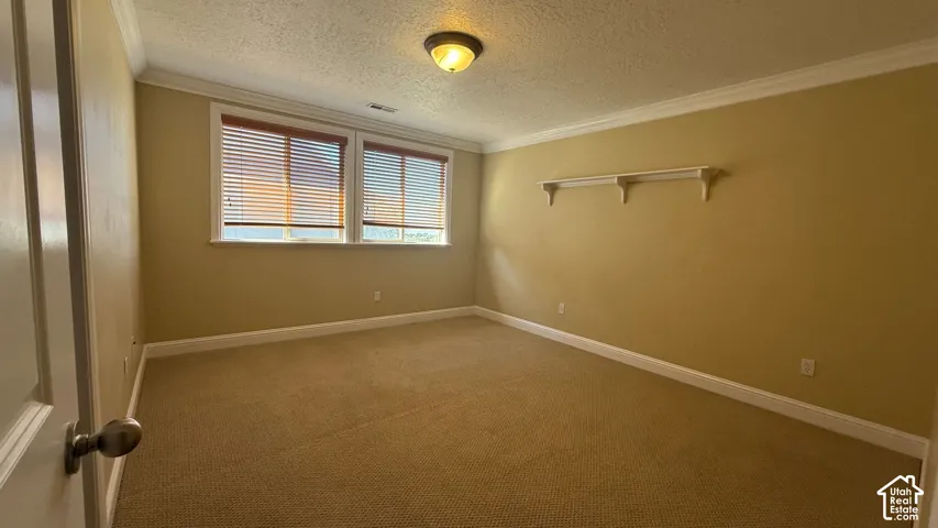 Neutral-toned carpeting complements the wall color