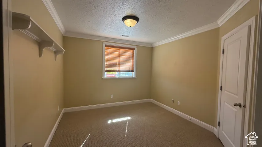 Crown molding with a built-in display shelf, a window with horizontal blinds, and a paneled door