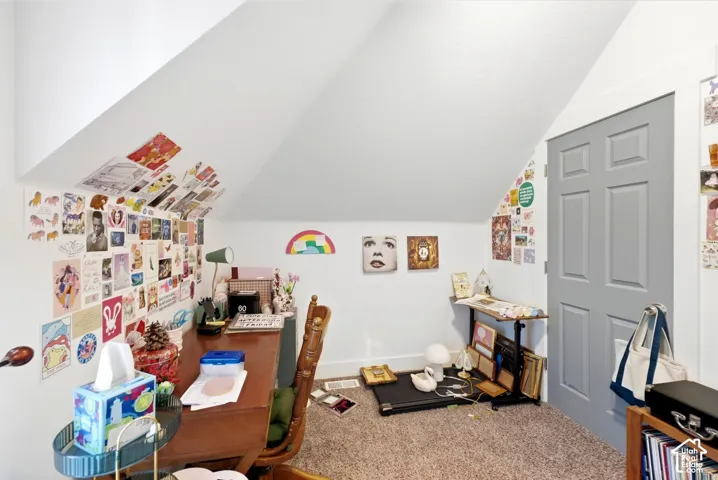 Sloped ceiling architecture with carpeting and a paneled door