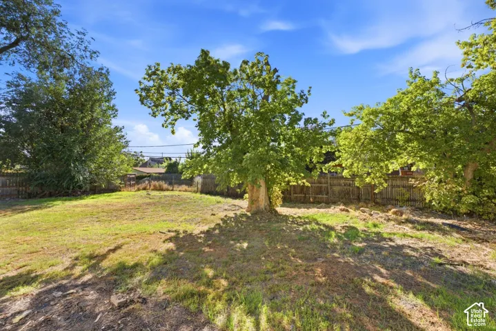 Expansive yard with mature trees and a wood fence border