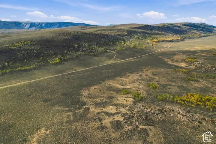 Expansive land parcel featuring natural terrain, mature trees, and mountainous backdrop