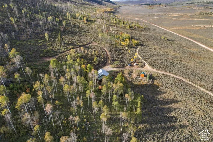 Expansive rural property featuring an established residence, mature trees, and a network of unpaved roads