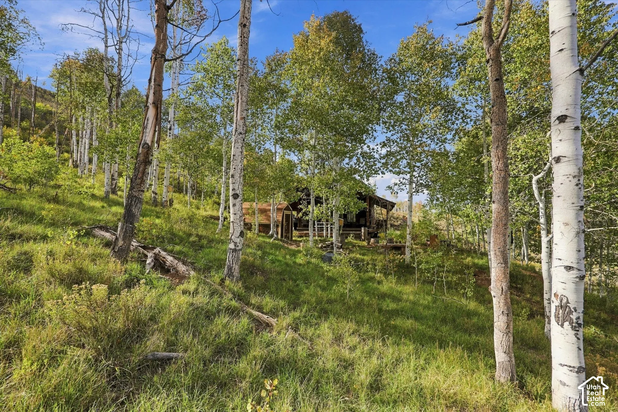 Wooded hillside setting featuring mature trees and a rustic cabin structure