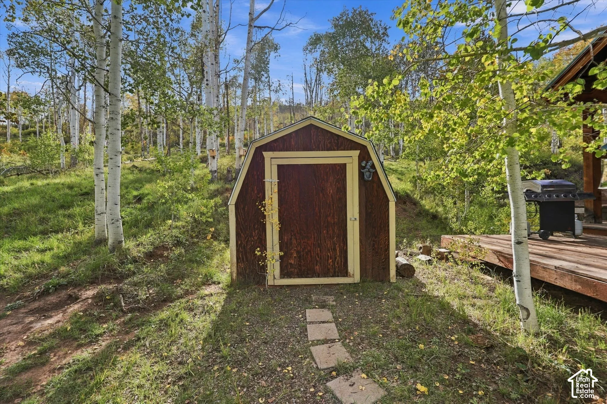 Barn-style storage shed with a light-colored door frame, bordered by a wooded area featuring numerous trees