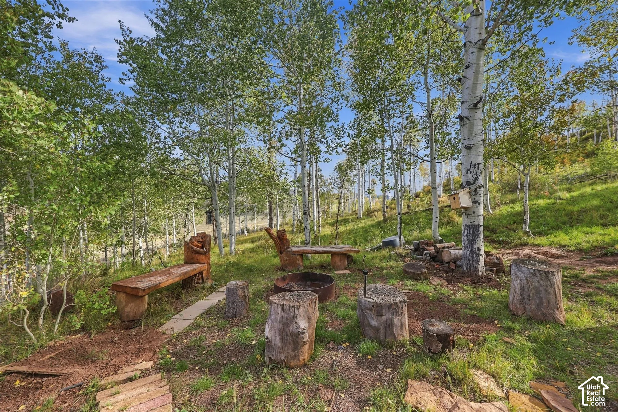 Outdoor gathering area featuring a fire pit, multiple wooden benches, natural tree stump seating, and a backdrop of mature trees
