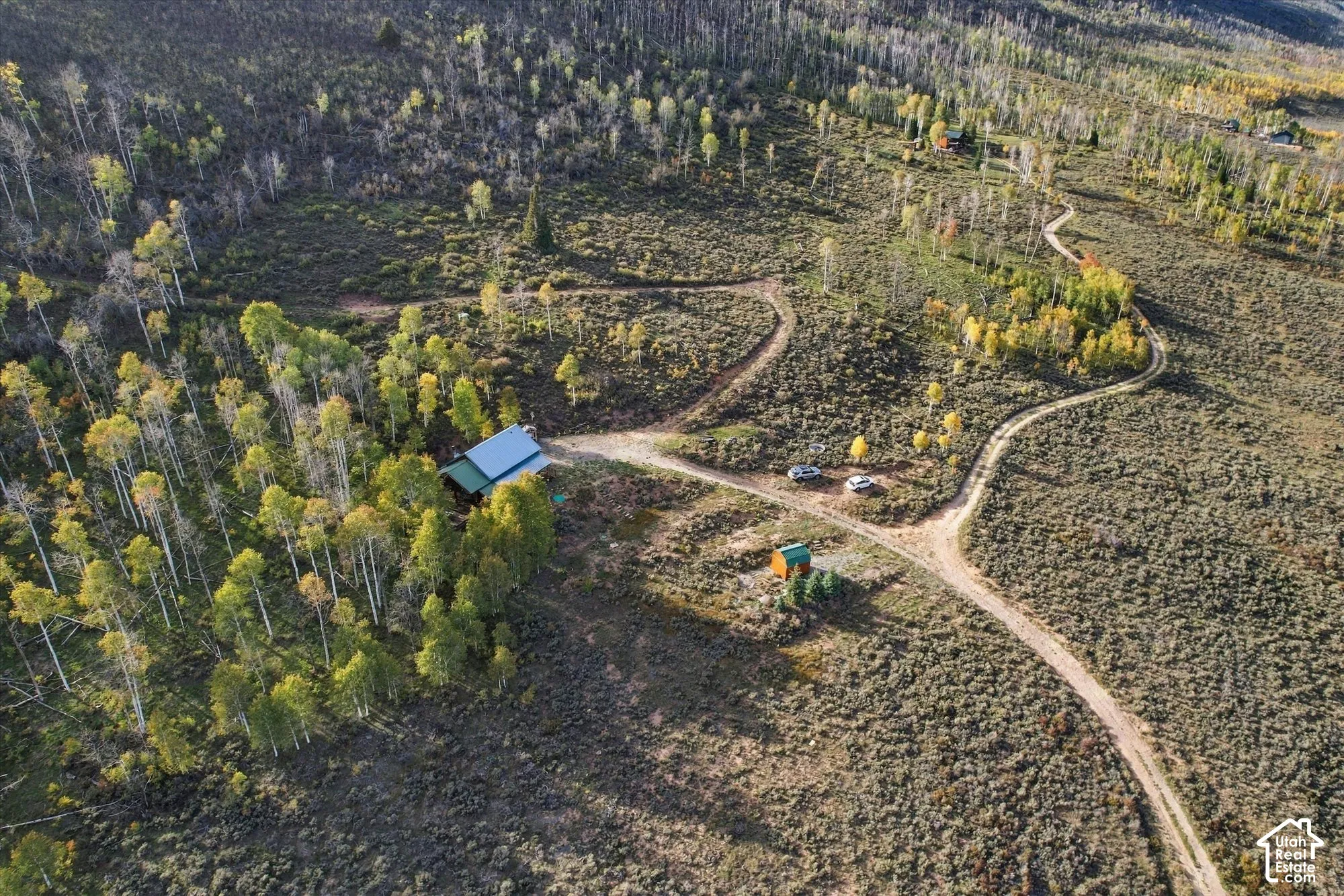 Property featuring extensive treed areas and winding unpaved roads
