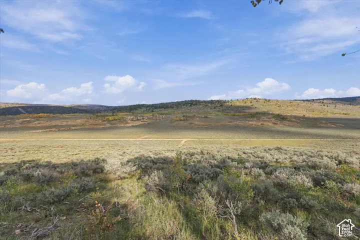 Expansive open terrain featuring natural vegetation, distant hills, and a clear sky