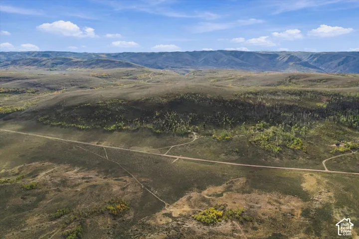 Expansive undeveloped land featuring rolling terrain, scattered deciduous trees, and a distant mountainous backdrop