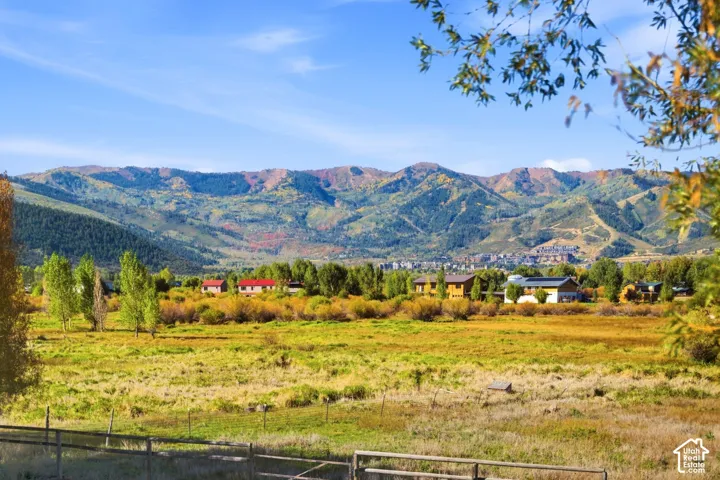 Expansive open field with distant mountain range backdrop