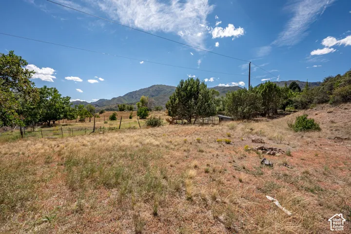 Expansive open terrain with natural ground cover, mature trees, and mountainous scenery