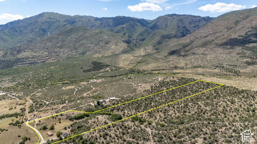 Expansive land parcel featuring natural desert flora, mountainous terrain, and a winding dirt road
