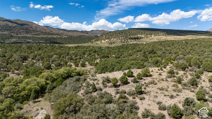 Expansive undeveloped land featuring mature trees and distant mountains