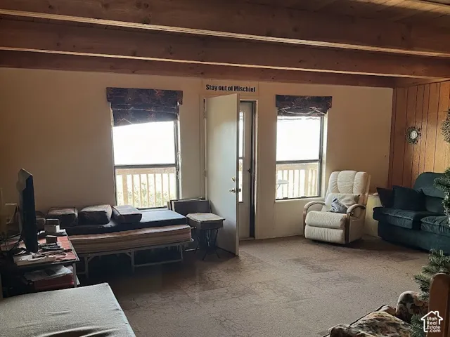36275 N 10690 E, Fairview, Utah 84629