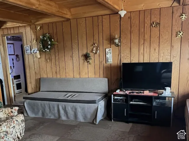 36275 N 10690 E, Fairview, Utah 84629